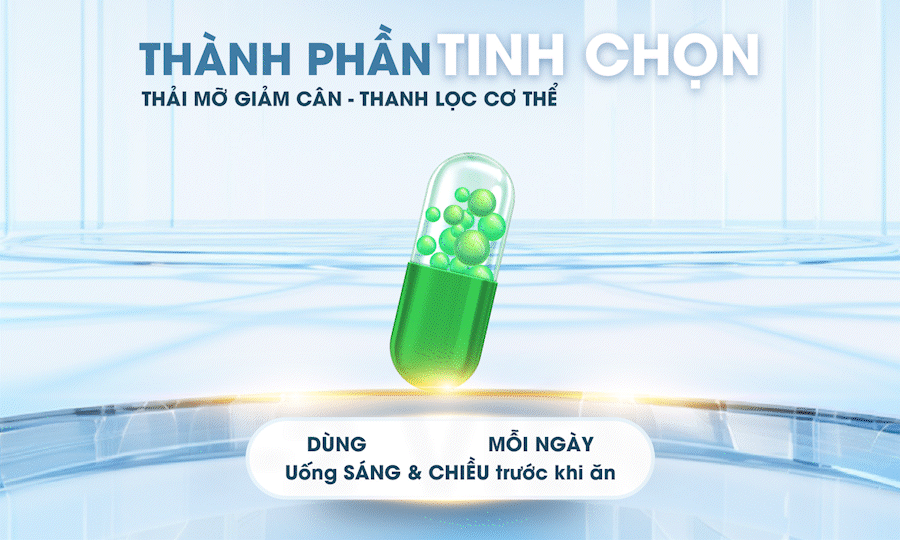 Viên nang tan mỡ TuThen